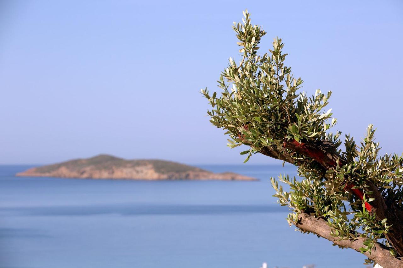 Elia Privileged Suites Andros Ανδροσ Экстерьер фото